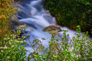 Deschutes River-1375 Deschutes River-1375